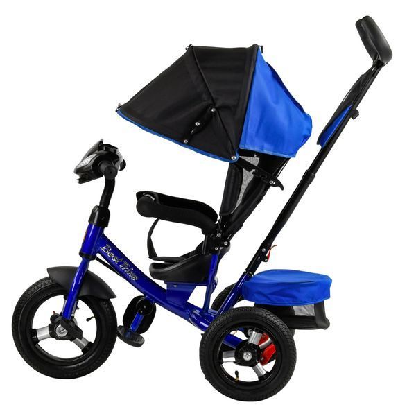 Трехколесный велосипед с родительской ручкой и пультом от 18 месяцев Best Trike Синий Вид 3 22289 фото