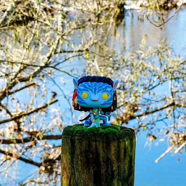 Игровая фигурка Funko POP! серии "Аватар" &ndash; Нейтири 27818 фото
