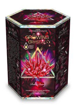 Игровой набор для проведения опытов "Growing crystal" Danko Toys Черно-красный 26583 фото