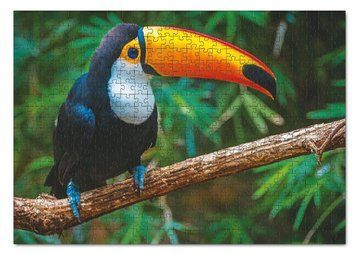Дитячі пазли 500 елементів Dodo Птах Тукан Бразилія 26989 фото