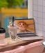 Румбокс 3d інтер'єрний конструктор DIY House Кафе Smile Life 33575 фото 7