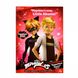 Кукла Леди Баг и Супер-Кот S2 Miraculous - Суперсекрет Эдриана 26 см 24208 фото 2