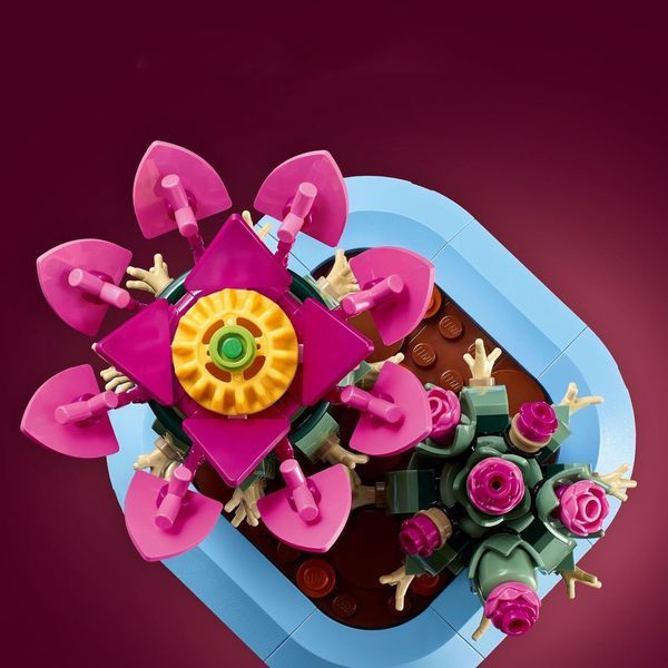 Конструктор Лего Кактус Lego Botanicals Цвітіння кактуса 482 деталі (11509) 43540 фото